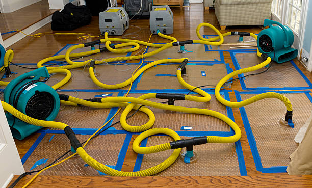 Professional Flood Damage Restoration technician working in Paramount, CA